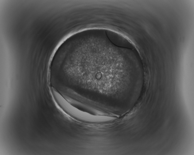 X0000085261527200703301821