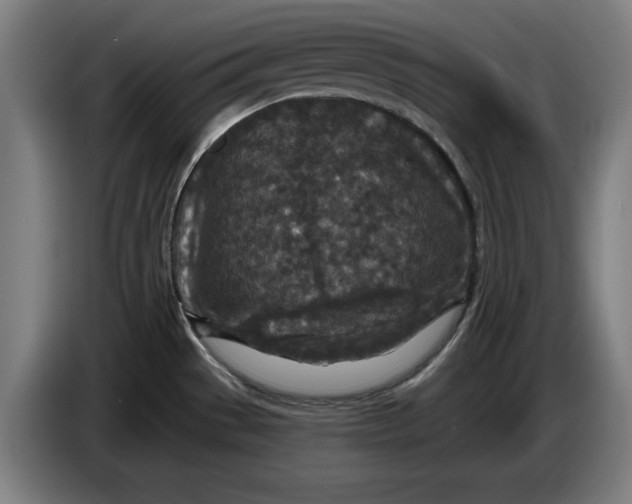 X0000085261529200703301821