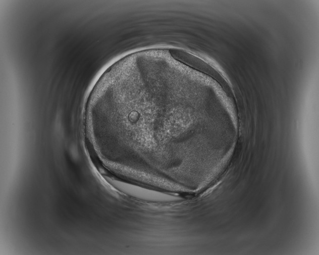 X0000085261532200703301821