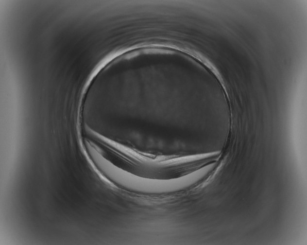 X0000085261533200703301821