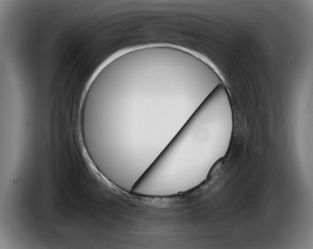 X0000085261534200703301821