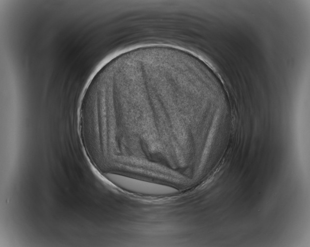 X0000085261535200703301821