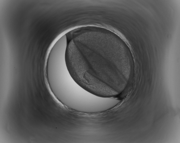 X0000085261536200703301821