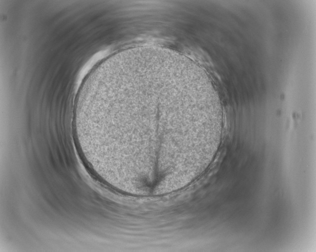 X0000085260003200704092126