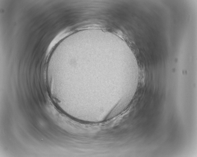 X0000085260004200704092126