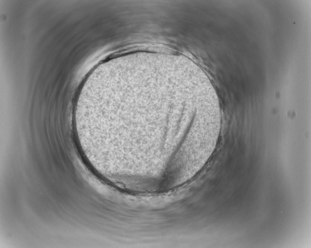 X0000085260005200704092126