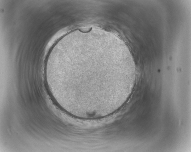 X0000085260006200704092126