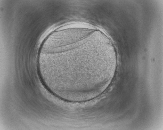 X0000085260007200704092126