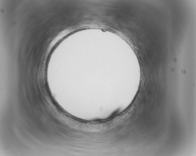 X0000085260008200704092126