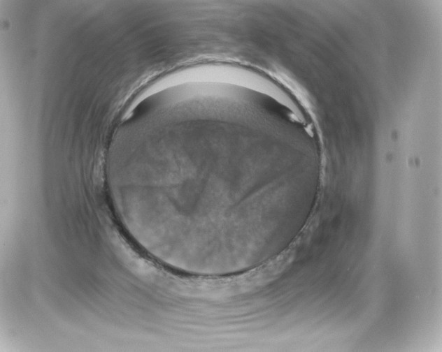 X0000085260009200704092126