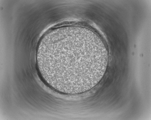 X0000085260011200704092126