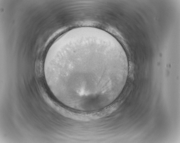 X0000085260012200704092126