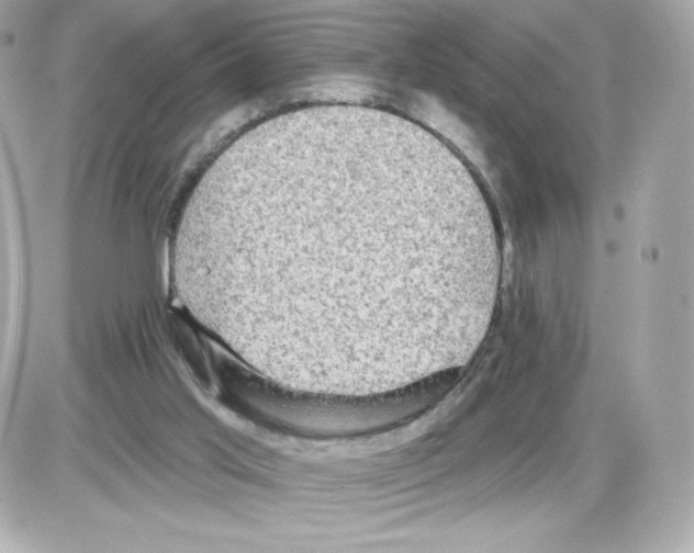 X0000085260013200704092126