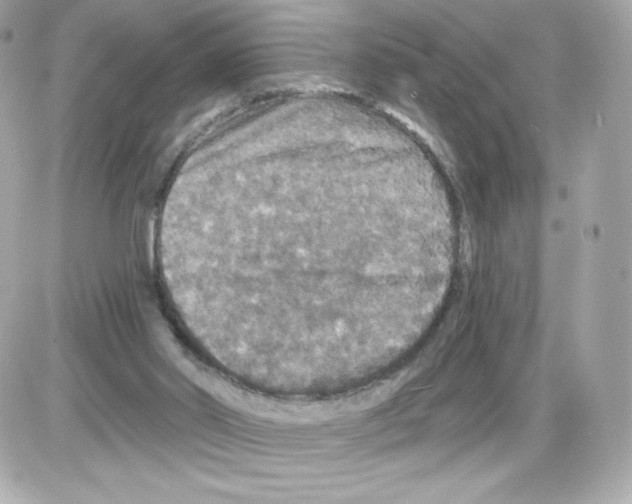 X0000085260014200704092126