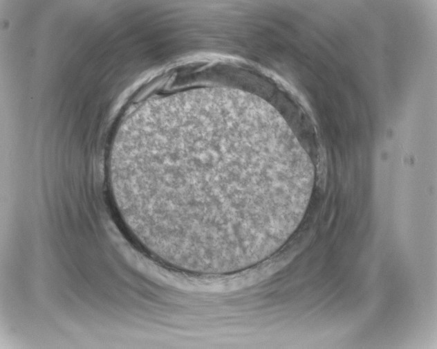 X0000085260015200704092126