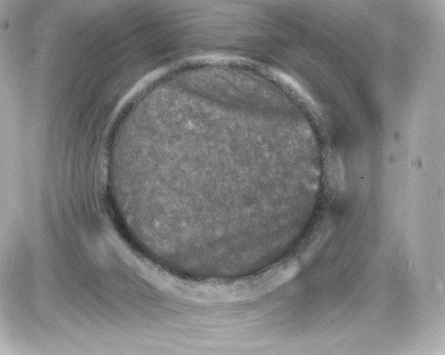 X0000085260016200704092126