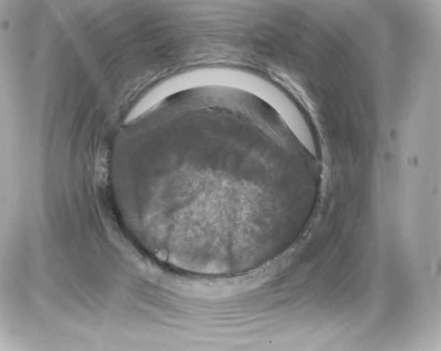 X0000085260017200704092126