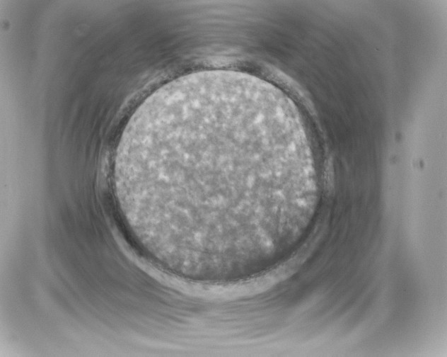 X0000085260018200704092126