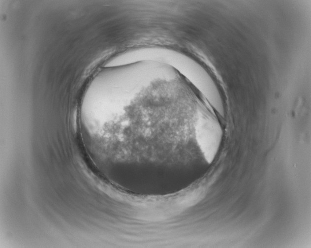 X0000085260019200704092126