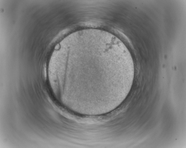 X0000085260020200704092126