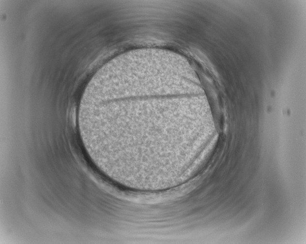 X0000085260021200704092126