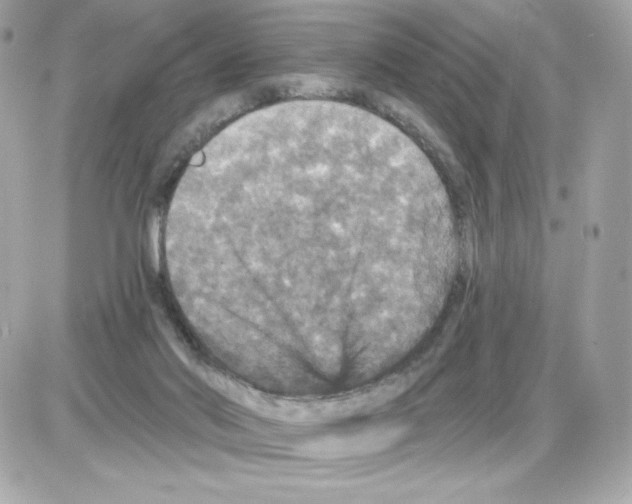 X0000085260022200704092126