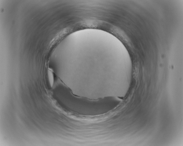 X0000085260023200704092126