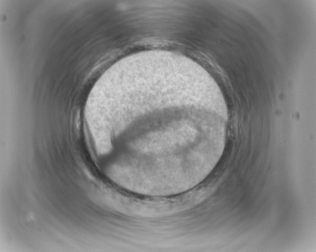 X0000085260024200704092126