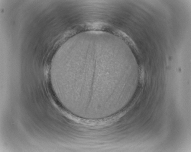 X0000085260026200704092126