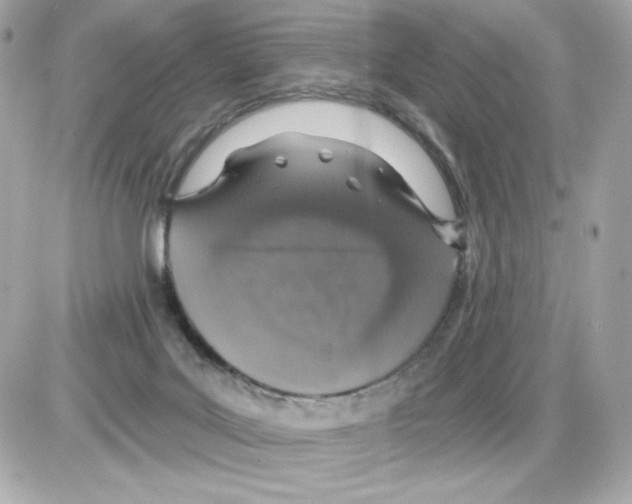 X0000085260027200704092126