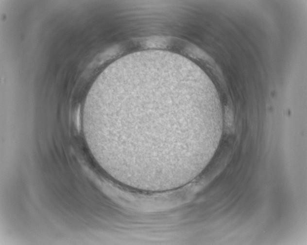 X0000085260028200704092126