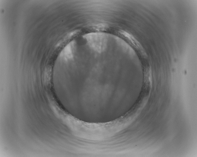 X0000085260030200704092126