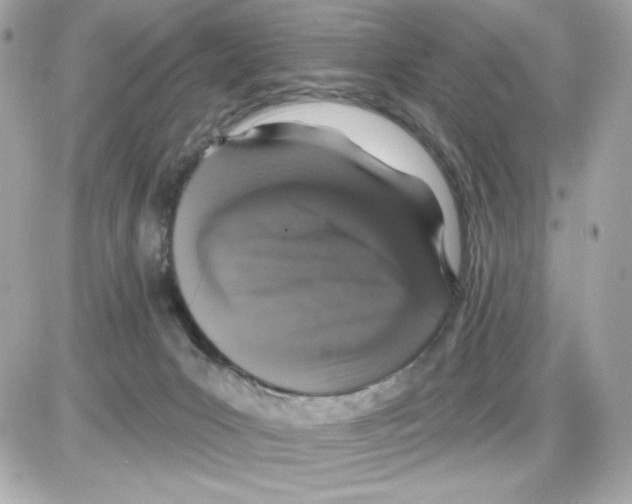 X0000085260031200704092126