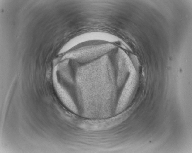 X0000085260033200704092126