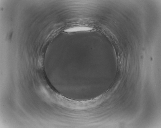 X0000085260035200704092126