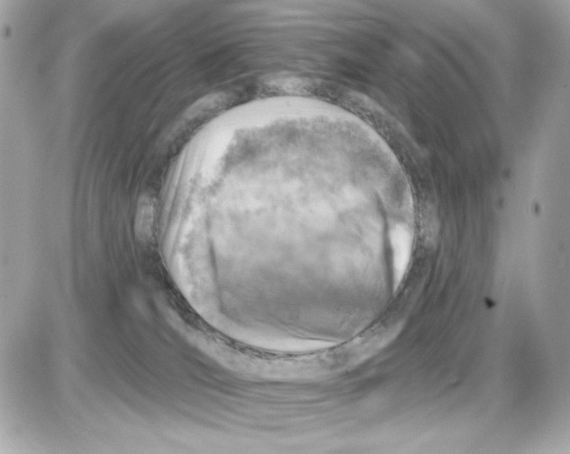 X0000085260036200704092126