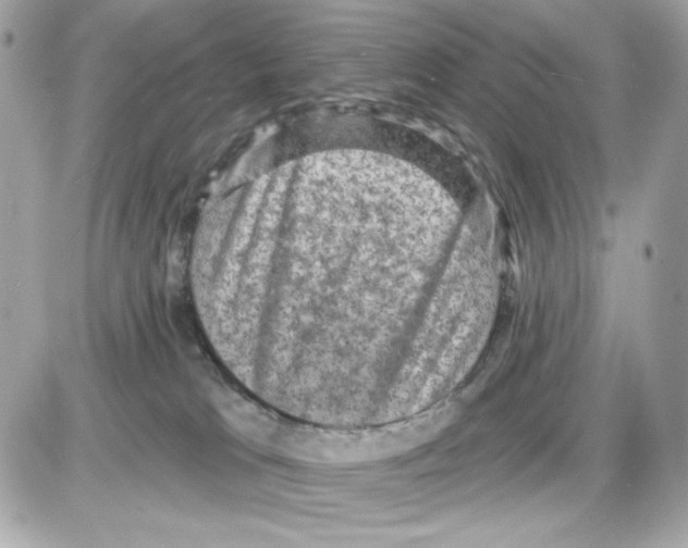 X0000085260037200704092126