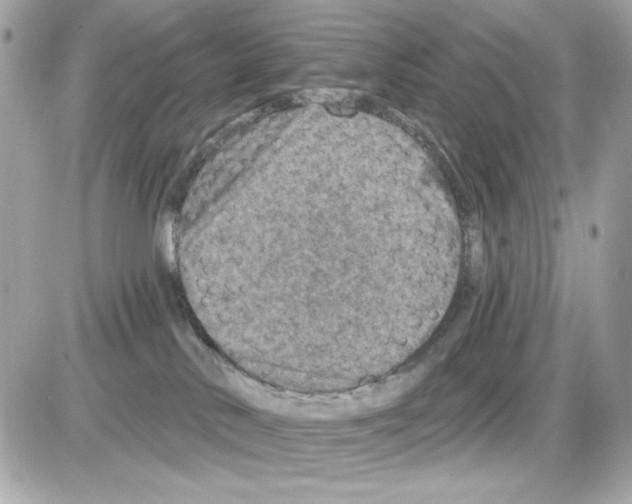 X0000085260042200704092126