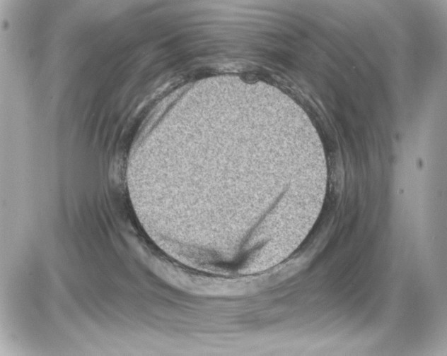 X0000085260044200704092126