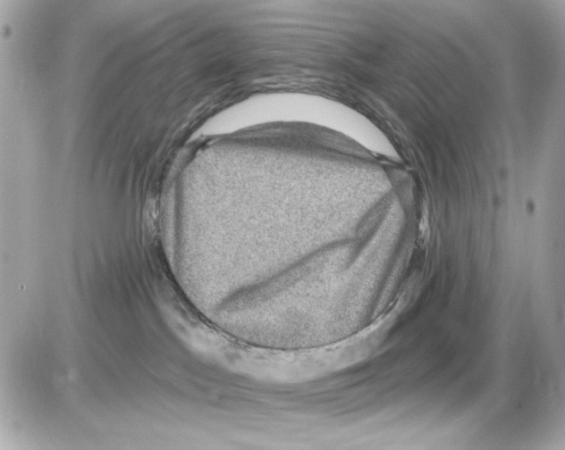 X0000085260045200704092126