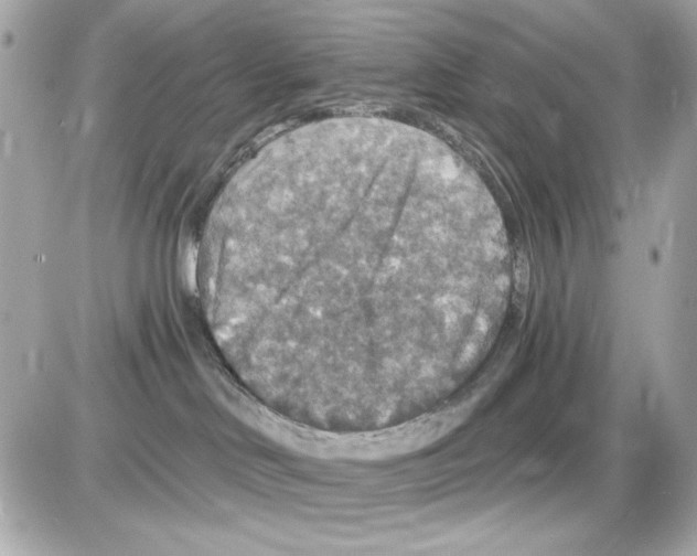 X0000085260046200704092125