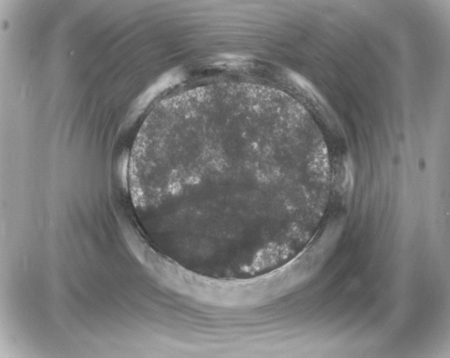 X0000085260047200704092125