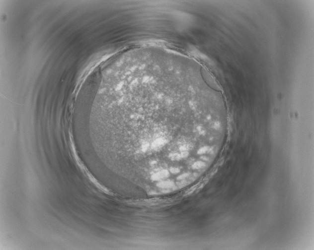 X0000085260049200704092125