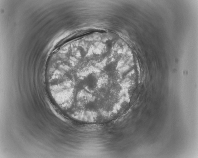 X0000085260050200704092125