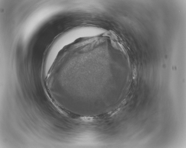 X0000085260052200704092125