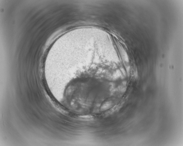 X0000085260053200704092125