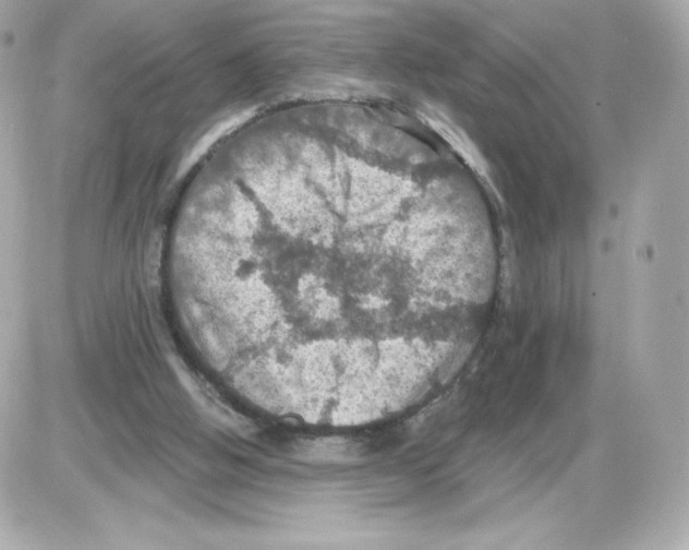 X0000085260058200704092125