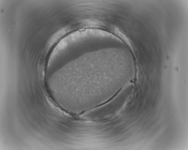 X0000085260059200704092125