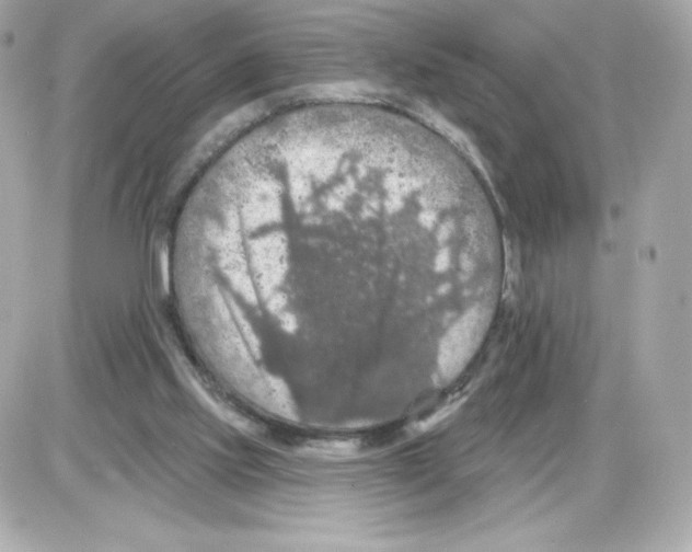 X0000085260061200704092125