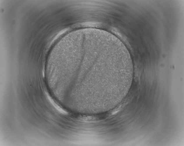 X0000085260062200704092125